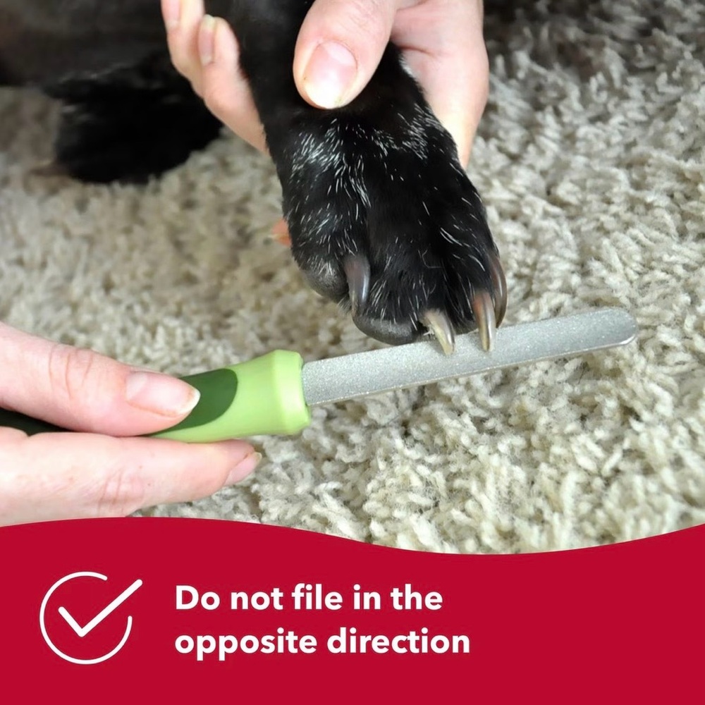 Dog Nail File - Picture 7 of 7
